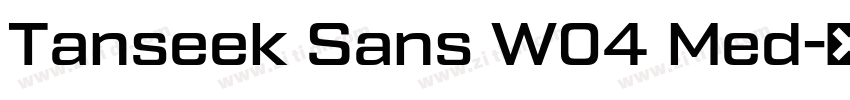 Tanseek Sans W04 Med字体转换